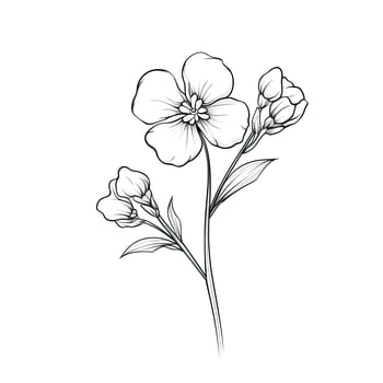 blue Forget Me Not flower photo
