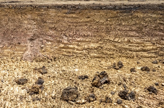 Background view of the basement section, which was dug into the shore. photo