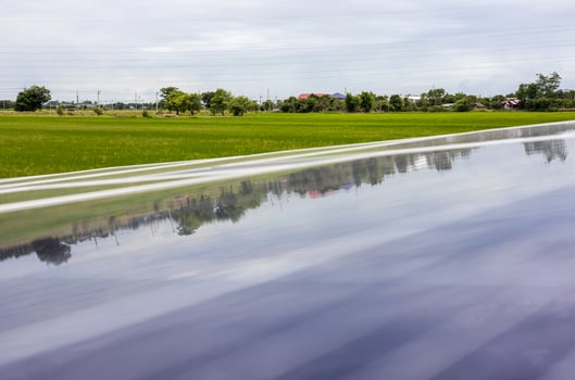 A close-up view of a reflection on a blue solar panel over green rice paddies. photo
