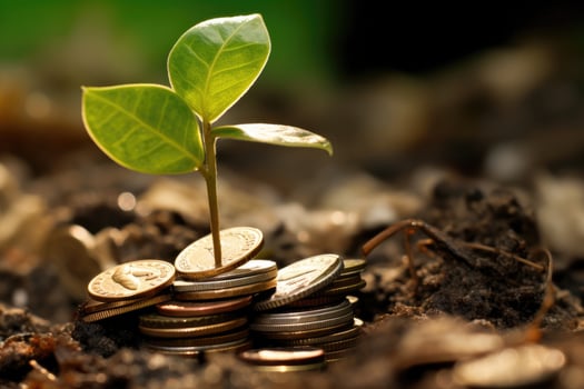 An image that represents the idea of financial growth and investment by photographing a sprouting plant or tree growing out of a pile of coins. photo
