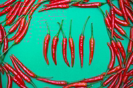 Spicy red chili on green background photo
