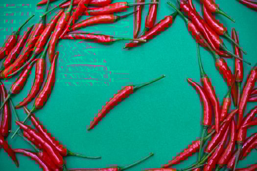 Spicy red chili on green background photo