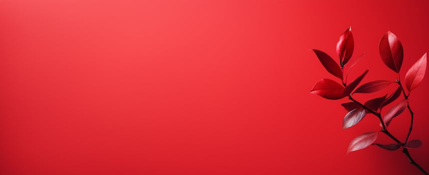 The Minimals - The Red Background - - photo
