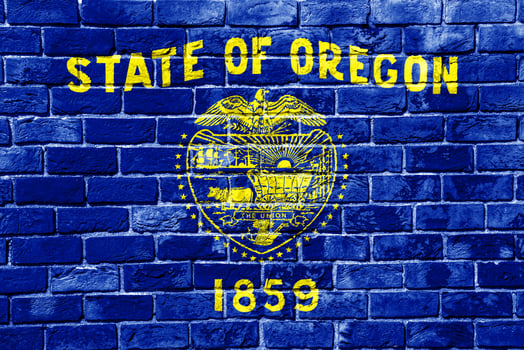 Flag of USA state Oregon on a textured background. Concept collage. photo