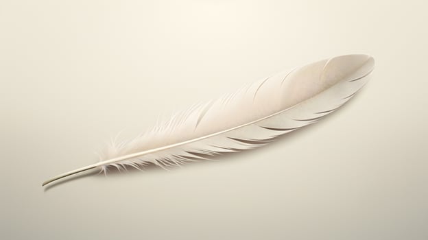 white feather on black background photo