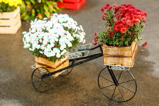 Model of an old bicycle equipped with basket of flowers. autumn flowers decor photo