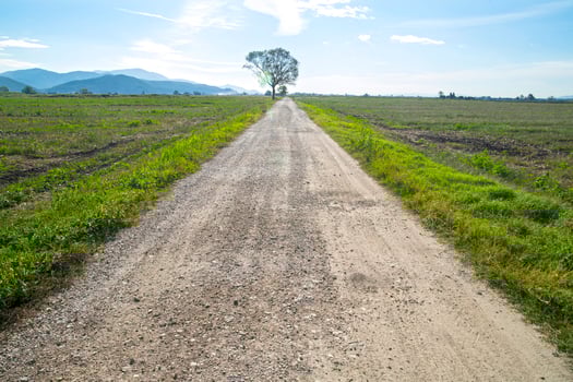 Road with tree photo