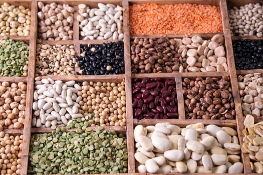 Seeds of legumes mixed photo