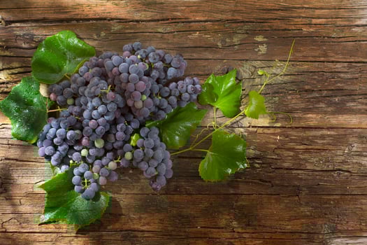 Black grape strawberry photo