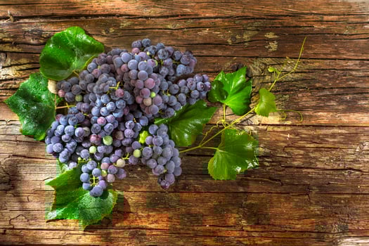 Black grape strawberry photo
