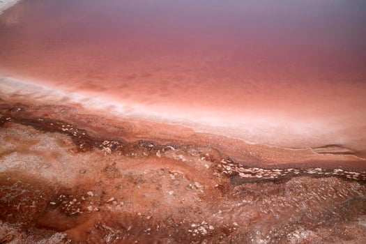 The color of salt photo
