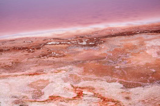 The color of salt photo