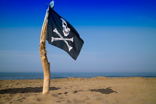 To hoist the flag of the pirates photo
