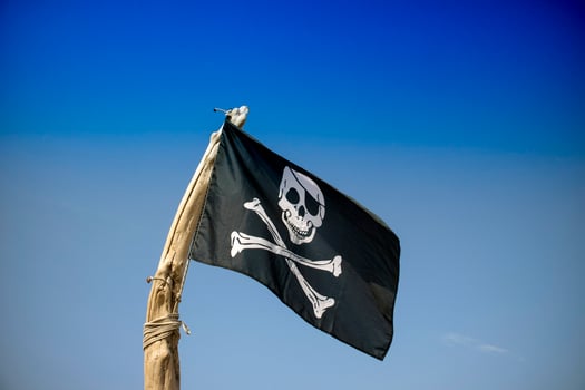 To hoist the flag of the pirates photo