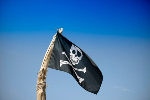 To hoist the flag of the pirates photo
