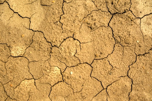 Land damaged by drought photo