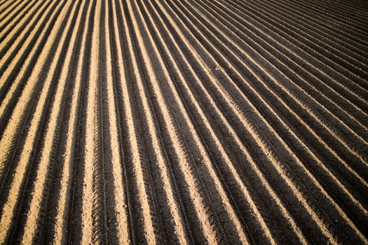 The drawings on earth photo