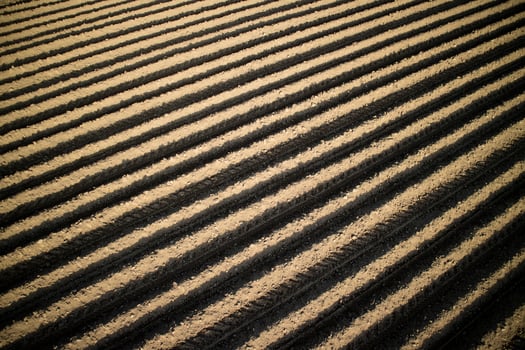 The drawings on earth photo
