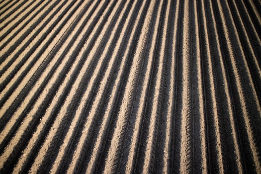 The drawings on earth photo