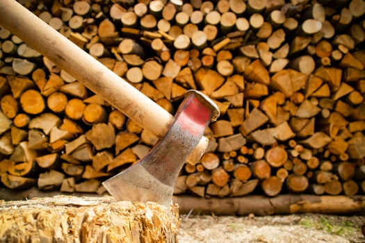 Small pile of wood photo