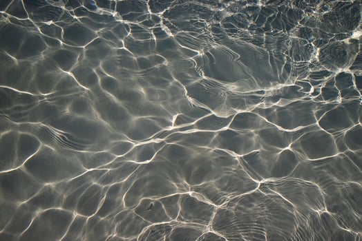 Reflection in gray water photo