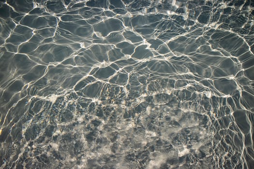 Reflection in gray water photo