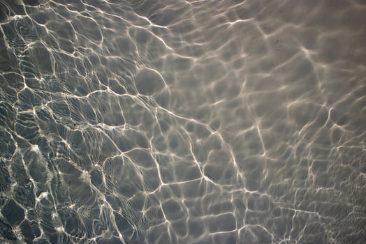 Reflection in gray water photo