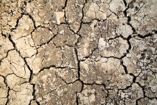 The effects of drought on the earth photo