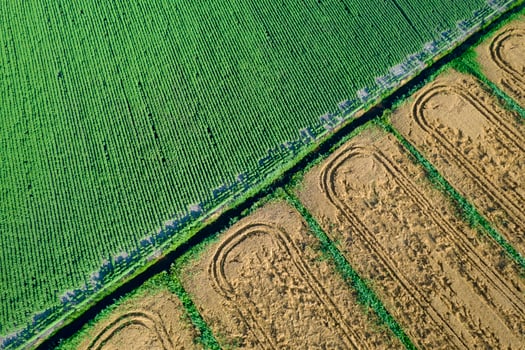 Cultivation of the fields seen from above photo
