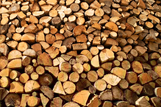Stock of firewood for the winter photo