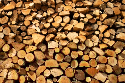 Stock of firewood for the winter photo
