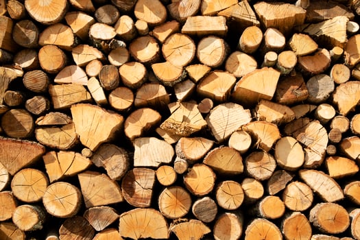 Stock of firewood for the winter photo