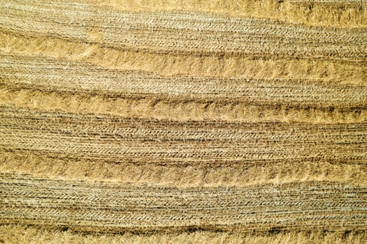 Aerial shot of a straw field left to dry photo