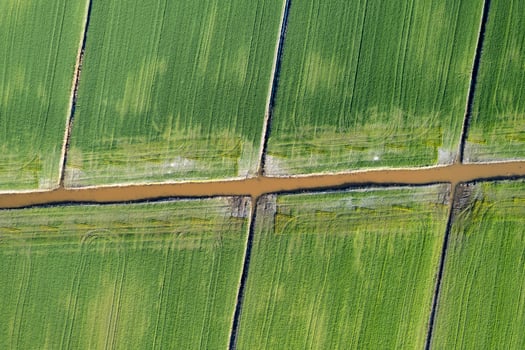 Aerial shot of the giometric shapes of the fields photo