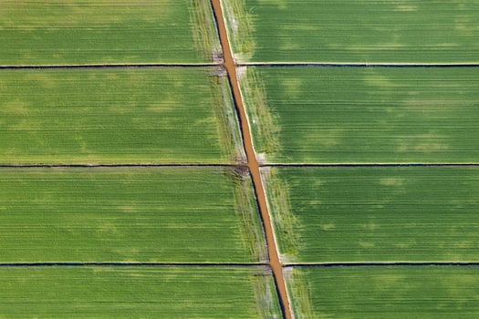 Aerial shot of the giometric shapes of the fields photo