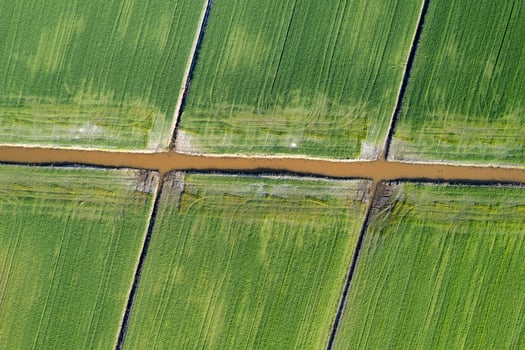 Aerial shot of the giometric shapes of the fields photo