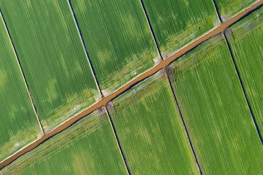 Aerial shot of the giometric shapes of the fields photo