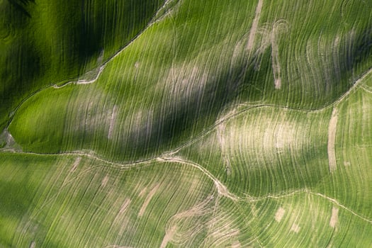 Aerial shot of the shapes of the cultivated fields photo