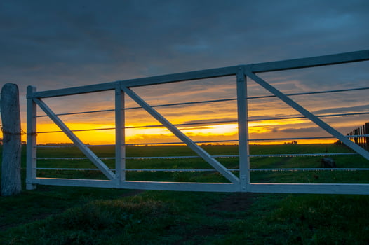 Field gateway in countryside, Buenos Aires province, Patagonia , Argentina photo