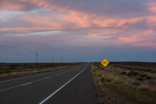 Route in the Pampas plain, Patagonia, Argentina photo