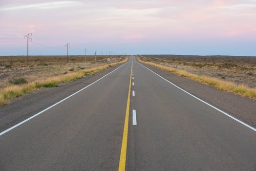 Route in the Pampas plain, Patagonia, Argentina photo