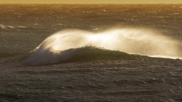 Waves with strong wind after a storm, Patagonia, Argentina. photo