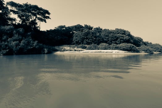 Brazilian Pantanal landscape view photo