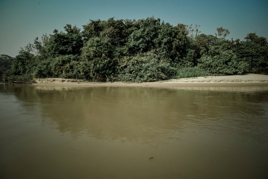 Brazilian Pantanal landscape view photo