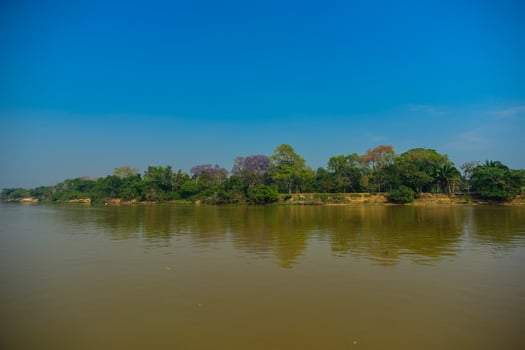 Brazilian Pantanal landscape view photo