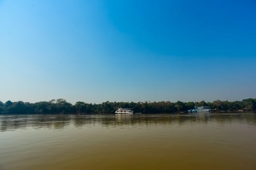 Pantanal ecosystem, Mato Grosso, Brazil photo