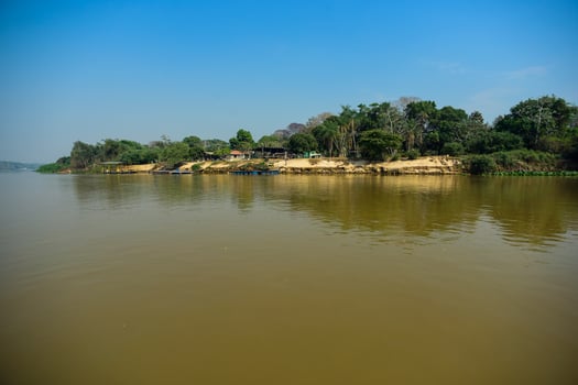 Pantanal ecosystem, Mato Grosso, Brazil photo