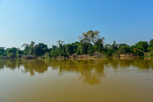 Pantanal ecosystem, Mato Grosso, Brazil photo