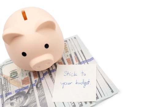 Text written note STICK TO YOUR BUDGET and Piggy bank on US Dollars. concept of financial planning to save money by spending less. Finance and business concept. isolated background. photo