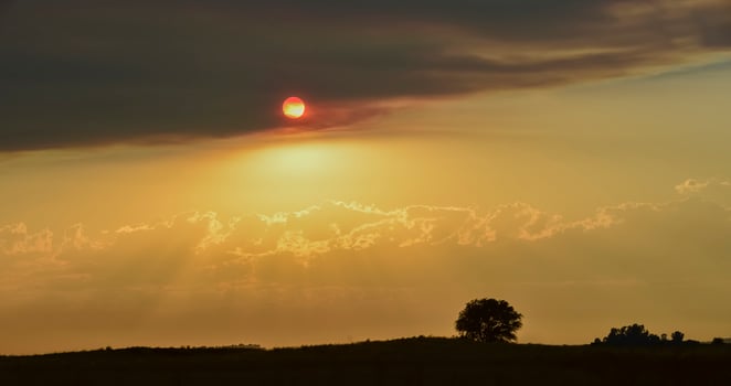 Pampas plain landscape, Patagonia,Argentina photo